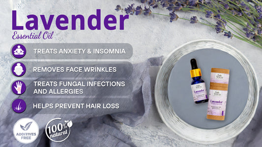 Lavender Essential Oil
